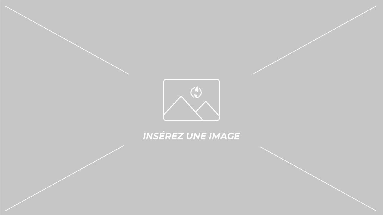Le Programme
